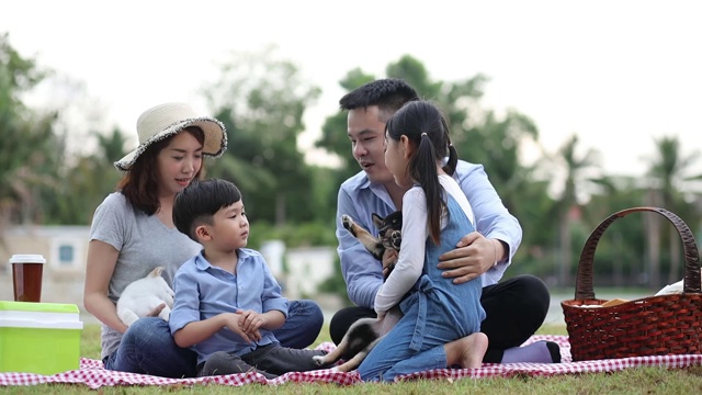 宠物情人。一个亚洲家庭在和一只柴犬玩耍。家里有爸爸、妈妈、儿子、女儿。在花园里野餐。视频素材