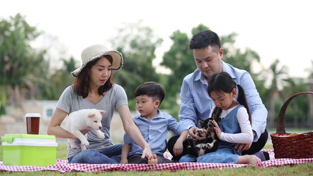 宠物情人。一个亚洲家庭在和一只柴犬玩耍。家里有爸爸、妈妈、儿子、女儿。在花园里野餐。视频素材