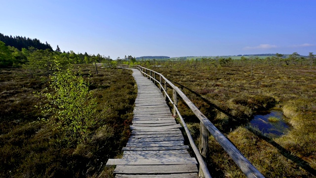 木板路沼泽，Schwarzes Moor, Fladungen, Rhön，巴伐利亚，德国视频素材