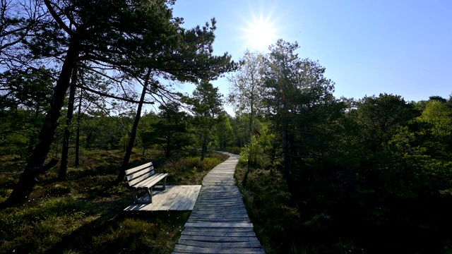 德国巴伐利亚州，Fladungen, Rhön, Schwarzes Moor沼泽地里的木板和长凳视频素材