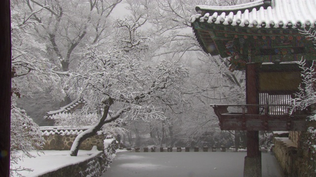 韩国全罗南道，若溪山/顺天溪松光沙寺的冬季雪景视频素材