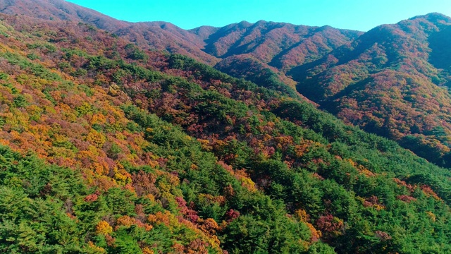 韩国全罗南道，若溪山/顺天溪的秋天景色视频素材