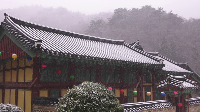 韩国全罗南道，若溪山/顺天溪松光沙寺的冬季雪景视频素材