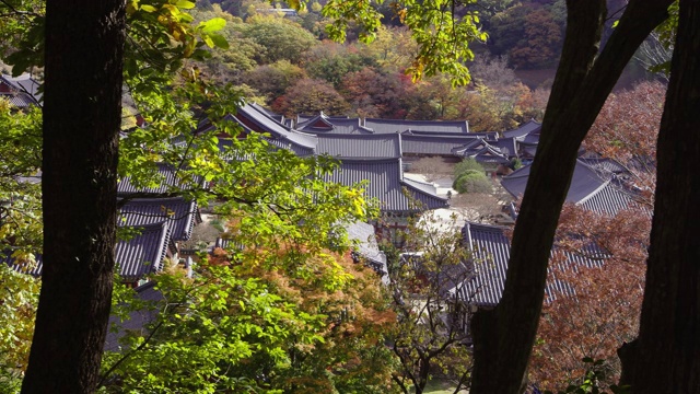 韩国全罗南道，九溪山/顺天溪松光沙寺的秋景视频素材