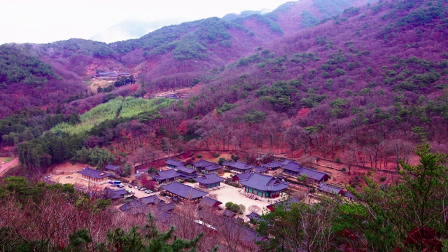 韩国全罗南道，九溪山/顺天溪松光沙寺的秋景视频素材