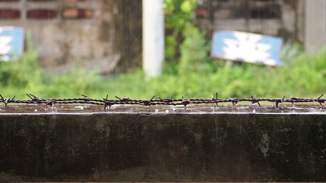 雨轻轻地打在墙上。视频下载