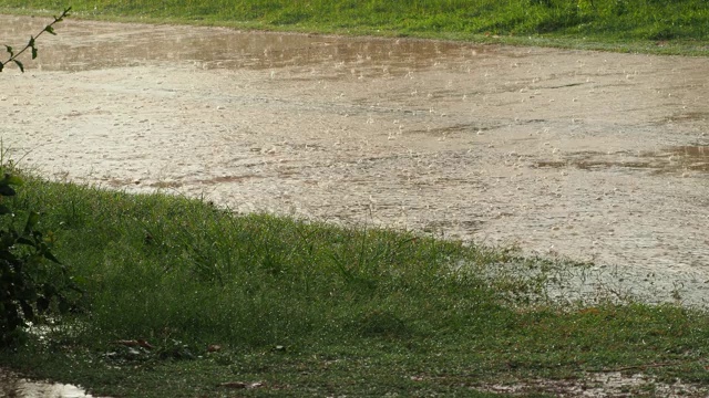 雨在路上在雨季的开始与柔和的阳光穿透美丽的雨。4 k。视频下载