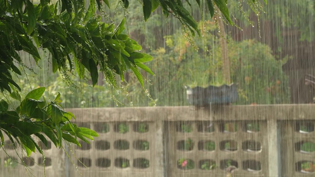 开始时路上的雨。视频下载