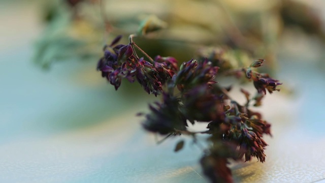 百里香一种干燥的草药百里香，用于冲泡芳香的草药茶视频素材画面1