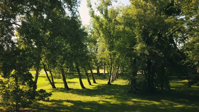 4k无人机拍摄夏季公园，绿城，休息时间。视频素材