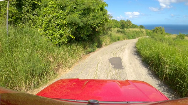 POV:风景如画的镜头，郁郁葱葱的异国植物，而开车穿过巴巴多斯视频素材