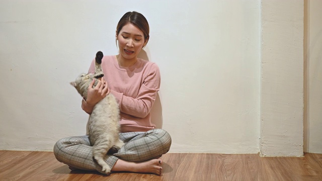 在家里和猫玩的女人视频素材