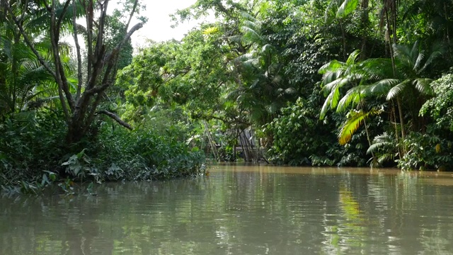 贝伦湿地Pará (Igarapé和Igarapó)视频素材