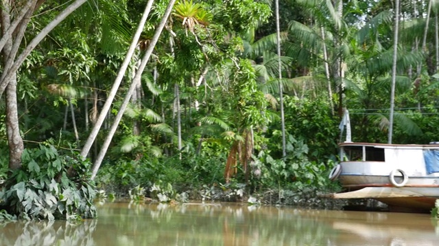 贝伦湿地Pará (Igarapé和Igarapó)视频素材