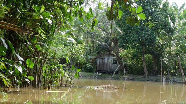 贝伦湿地Pará (Igarapé和Igarapó)视频素材