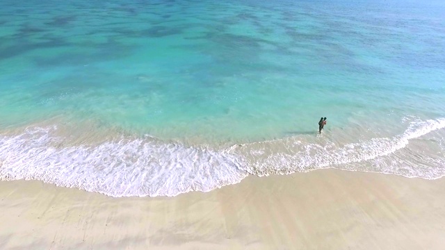 顶视图海滩热带岛屿与蓝色透明视频素材