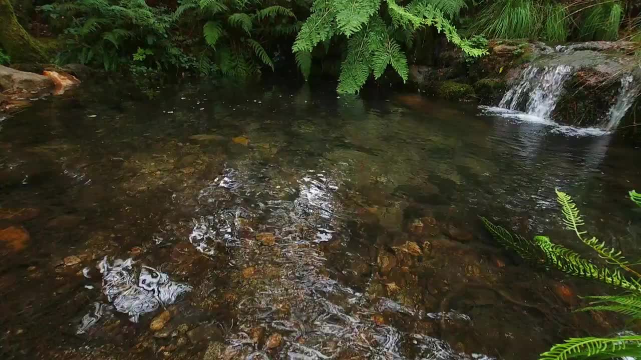 溅起的水花从石头落在水溅得到处都是，小瀑布在森林溪流视频素材