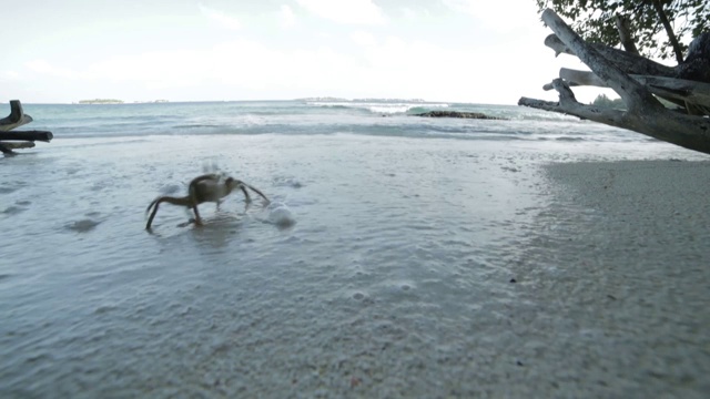 马尔代夫的废弃海滩视频素材