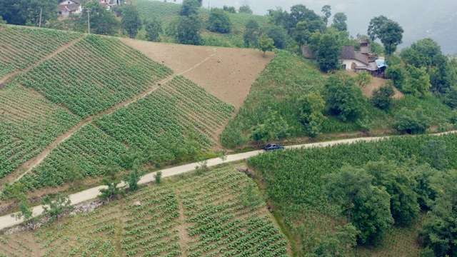 鸟瞰图汽车行驶在山路上视频素材