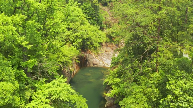 户外深林景区视频素材