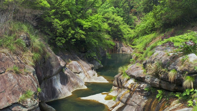 户外深林景区视频素材