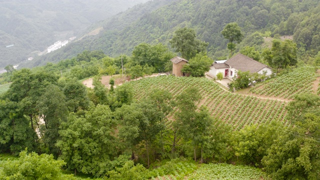 乡村风景鸟瞰图视频素材