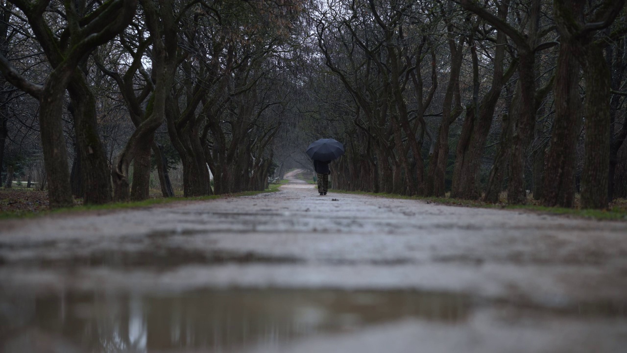 打着伞的女人走在阴雨的公园小路上，光秃秃的树视频素材