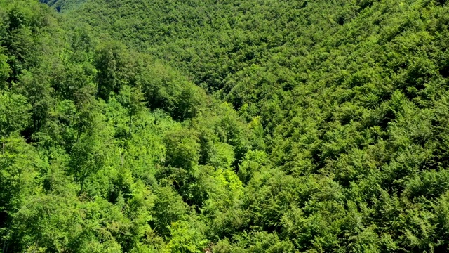 意大利阿布鲁佐梅埃拉国家公园的奥芬托山谷森林视频素材