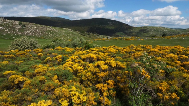 塞文国家公园，col de niel, Mont Lozere，法国。视频素材