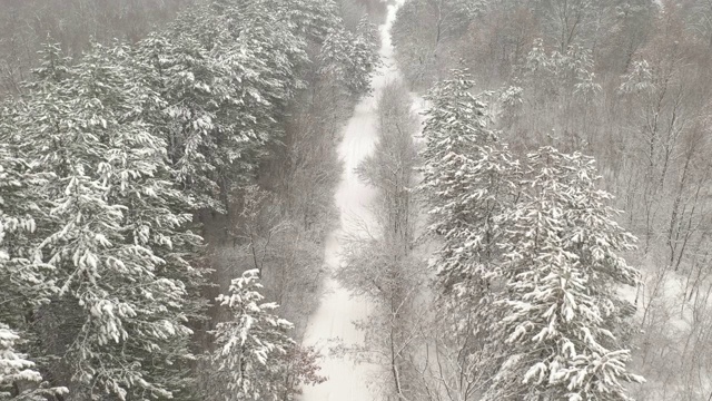 积雪路径上方的冬季4K航拍视频视频素材