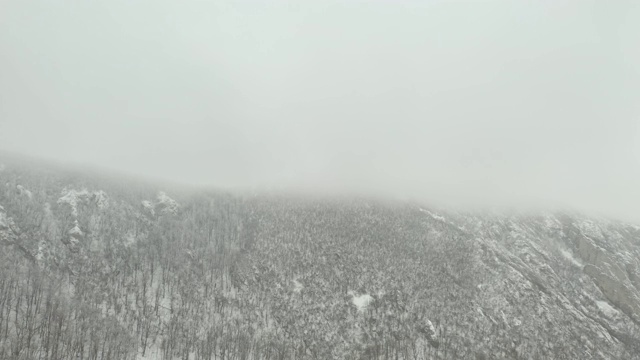 雪下的Veliki Krs山脊上的树木，4K空中视频视频素材