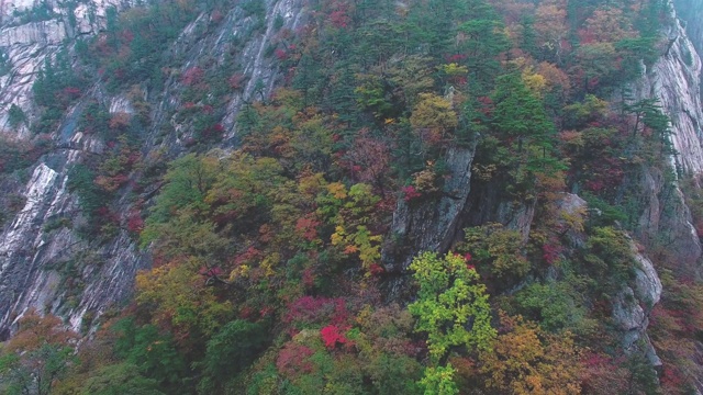 韩国江原道石山的秋天风景视频素材