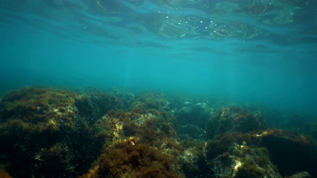 大海上的波浪。摄像机在水下。视频素材