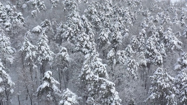 1月的场景从地面上4K无人机拍摄的视频视频素材