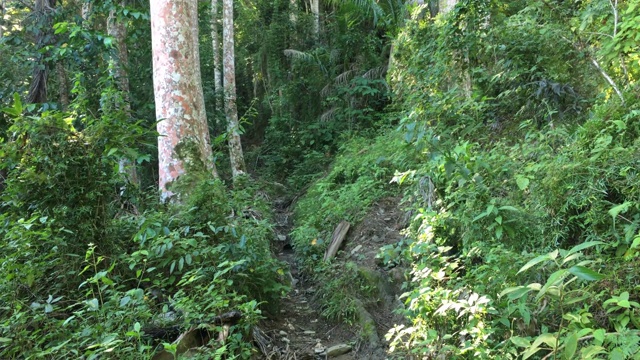 哈纳巴尼拉，通往古巴拉洛玛·德拉·阿塔拉亚山顶的道路视频素材