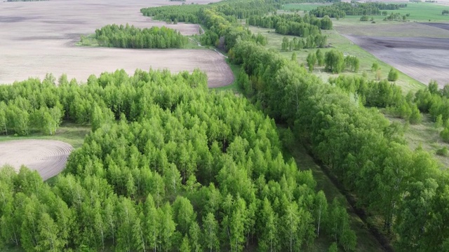 鸟瞰图，被耕地包围的绿色树林。美丽的风景。视频素材