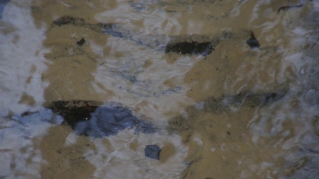 清澈的河水背景视频下载