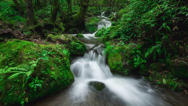 Sangdong Moss Valley / yeongwal -gun，江原道，韩国视频素材