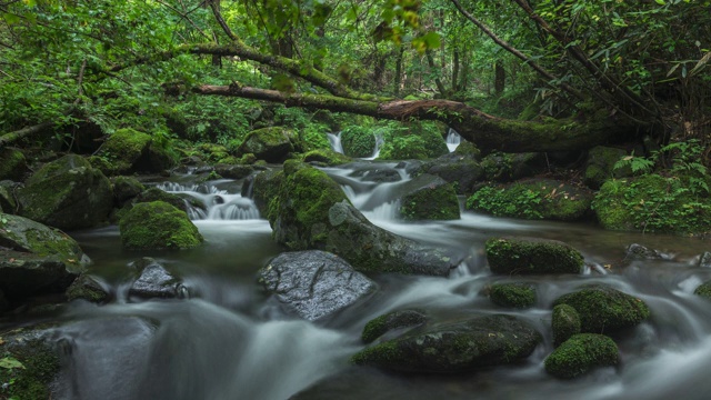 Sangdong Moss Valley / yeongwal -gun，江原道，韩国视频素材