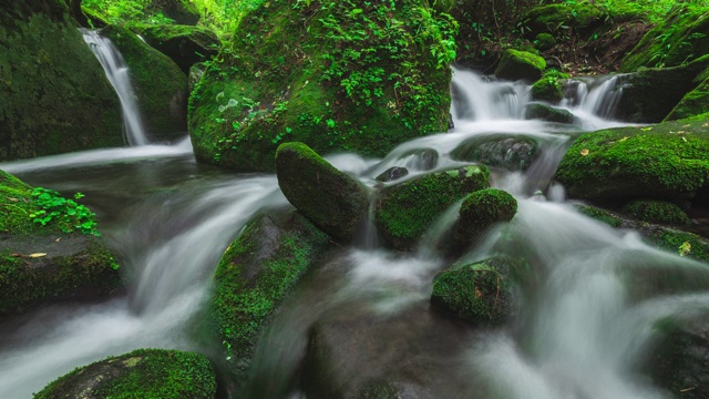 Sangdong Moss Valley / yeongwal -gun，江原道，韩国视频素材