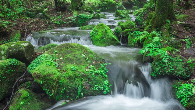 Sangdong Moss Valley / yeongwal -gun，江原道，韩国视频素材