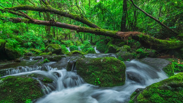 Sangdong Moss Valley / yeongwal -gun，江原道，韩国视频素材