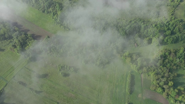 以上雾覆盖山谷和田野4K视频视频素材