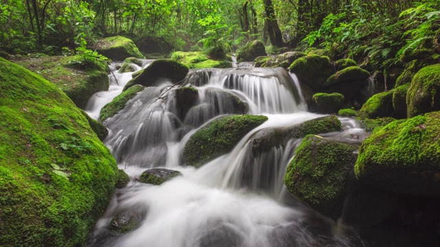 Sangdong Moss Valley / yeongwal -gun，江原道，韩国视频素材