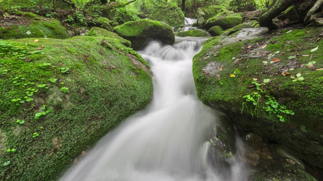 Sangdong Moss Valley / yeongwal -gun，江原道，韩国视频素材