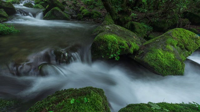 Sangdong Moss Valley / yeongwal -gun，江原道，韩国视频素材