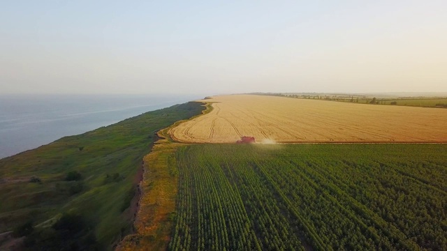 联合收割机的天线，在麦田附近的悬崖上工作，日落时可以看到海景。在海洋附近的农田里收割庄稼的收割机。农业、收获的季节。令人惊叹的风景风景视频素材