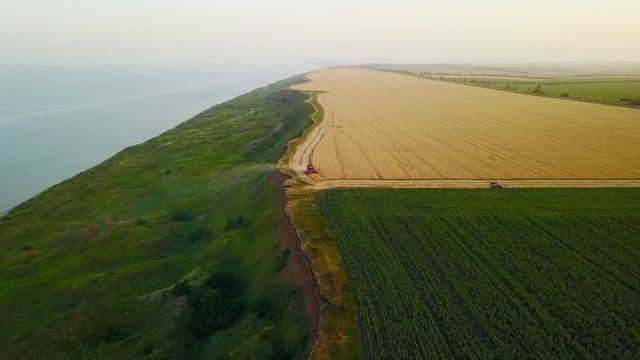 联合收割机的天线，在麦田附近的悬崖上工作，日落时可以看到海景。在海洋附近的农田里收割庄稼的收割机。农业、收获的季节。令人惊叹的风景风景视频素材