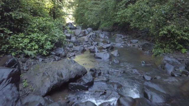 印度尼西亚巴厘岛的山谷视频素材