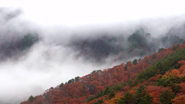 4K美丽的自然移动云通过山脉和森林与红树叶在秋天的早晨。环境保护和美丽的秋季概念视频素材